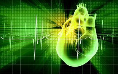 Szívvitaminok: így erősíthető a szívizom