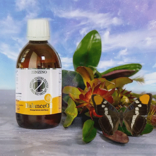 balancoil-halolaj-omega3-polifenol-babavaras-emesztes-viszér-aranyér.vitamin-vitaminmentor (1)